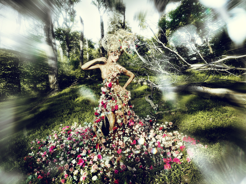 Austrian Hairdressing Award 2013 – Kategorie „Avantgarde“